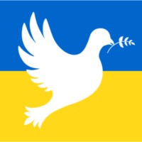 emlyon business school Employee Michel Phan's profile photo