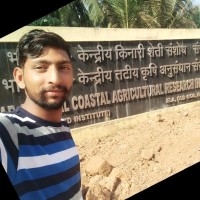 AgriSearch Employee Richhpal Singh's profile photo