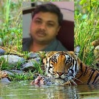 National Institute of Immunology (NII) Employee Agam Singh's profile photo