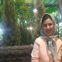 Pantea Nazeri Email