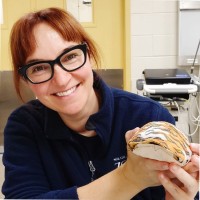 Philadelphia Zoo Employee Christine Higbie's profile photo