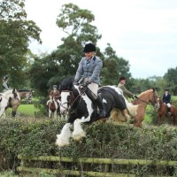 BUTLERS FARMHOUSE CHEESES LIMITED Employee Beth Bosson's profile photo