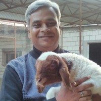 Sanjeev Pawar Email