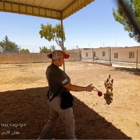 Ridgeside K9, LLC Employee Shannon Crane's profile photo