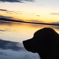 TerraVest Industries, Inc. Employee Don Nichols's profile photo