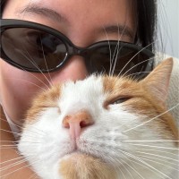 Yanzi Lin Email