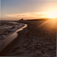 None Employee Eddie Heath's profile photo