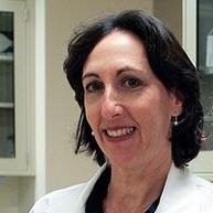 Joanne Levin Email & Phone Number