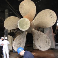 Manor Marine UK Ltd Employee Paul Dancy's profile photo