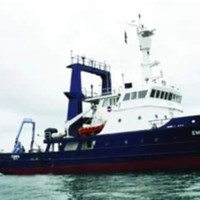 Nordic Maritime Pte Ltd Employee Rahmat Mubasir's profile photo