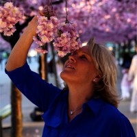 Karolinska University Hospital Employee Eva Broström's profile photo