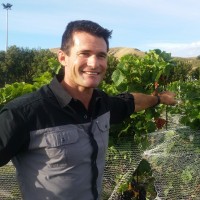 Babich Wines Ltd Employee David Bullivant's profile photo