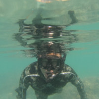 Wild Mob Employee Steve Fisher's profile photo