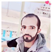 علي سلام Email