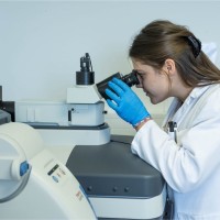Sample Control Employee Ivana Kučar's profile photo