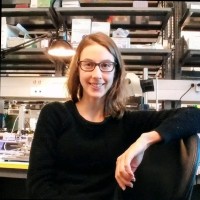 RockStep Solutions Employee Ashlie Reker's profile photo