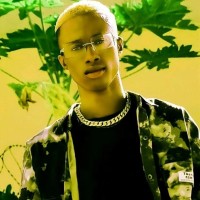 Afrobeat Employee Daniel Arukusi's profile photo