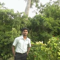insyz Employee Durairaj B's profile photo