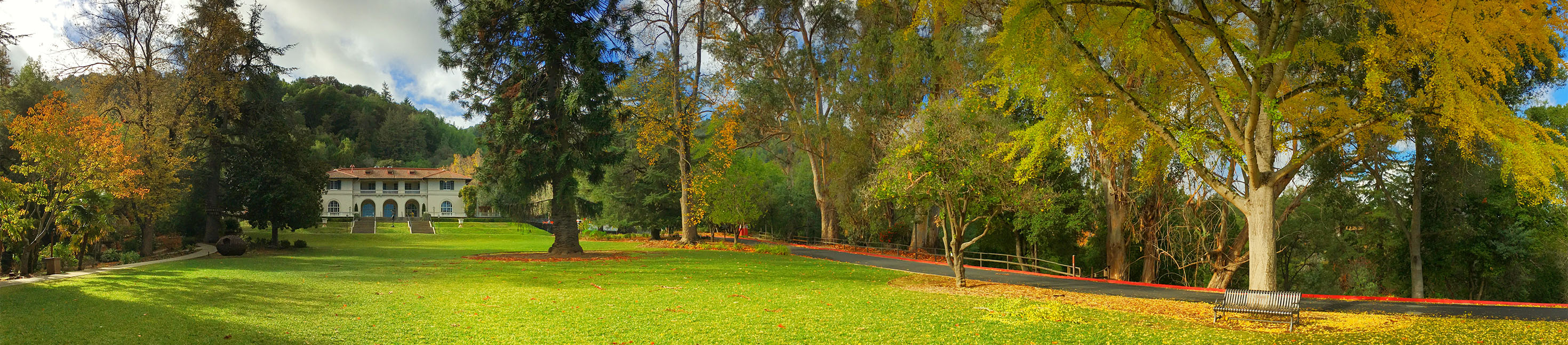 Montalvo Arts Center