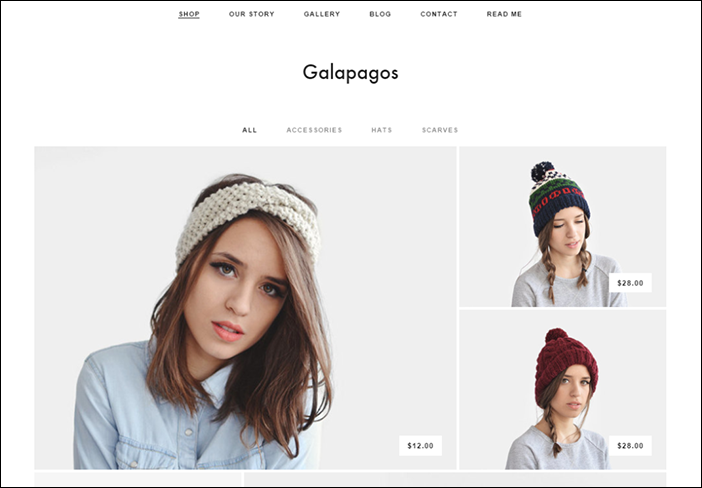 Squarespace's Galapagos theme