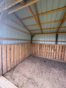 shedhub-gal-125993-1