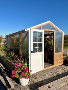 8x12 Limited Edition