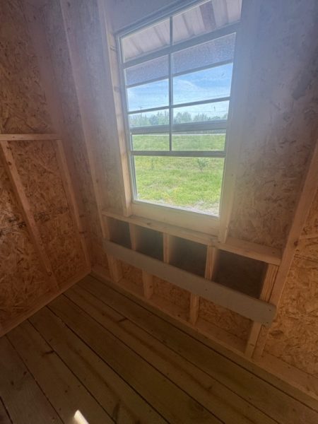 shedhub-gal-128859-3 shedhub-gal-128859-3