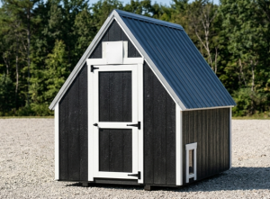 6x8 Chicken Coop
