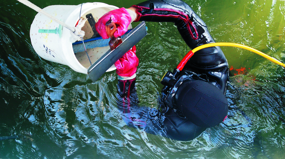 Diving 012-p17udsbm3fl9pcelk2s13quffj Diving 012-p17udsbm3fl9pcelk2s13quffj