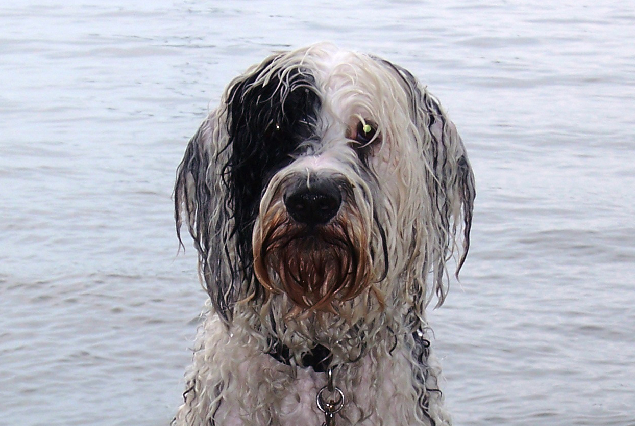 WetSasha WetSasha