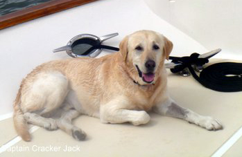 crackerjack crackerjack