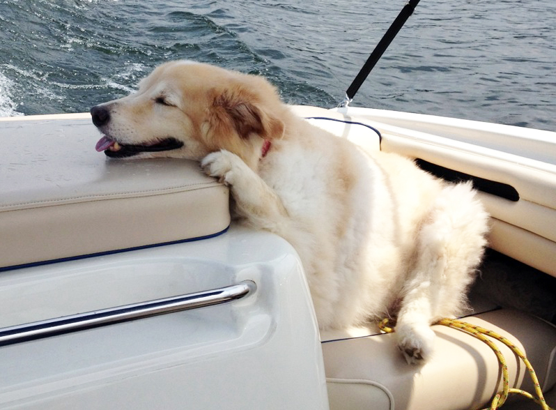 Baxter2