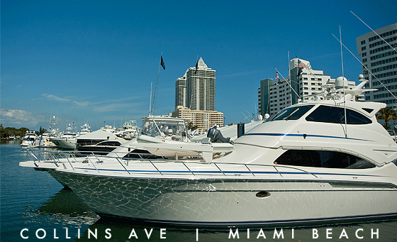 miami2013show