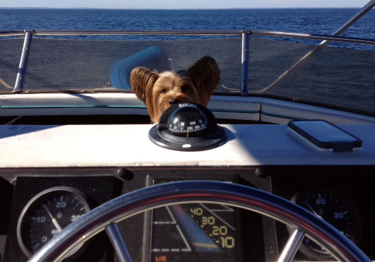 finnigan finnigan