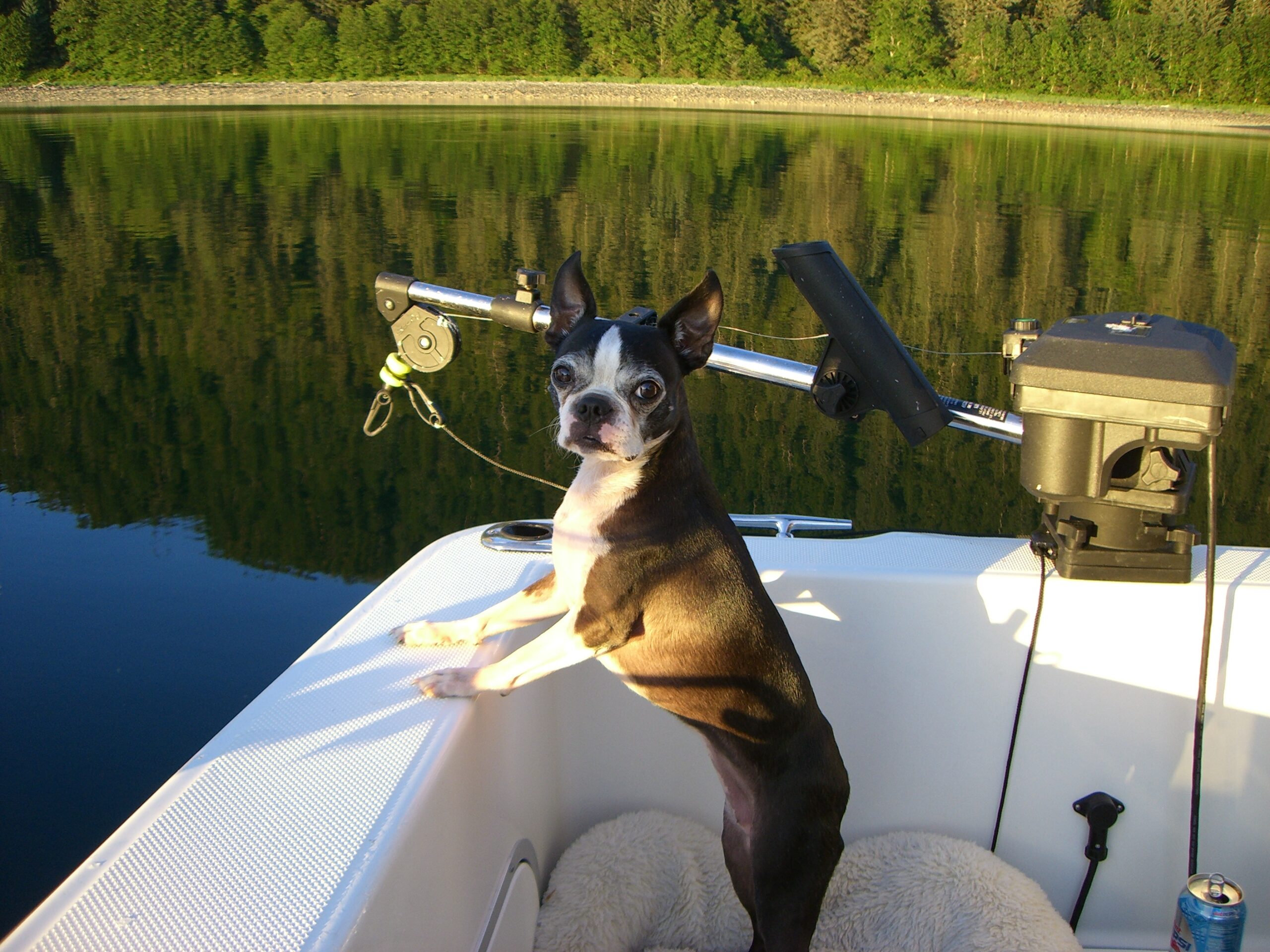 Mandy Barlow Cove