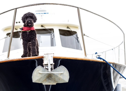 Nautical Miles LORES Nautical Miles LORES