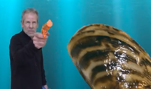 HanSoloChip