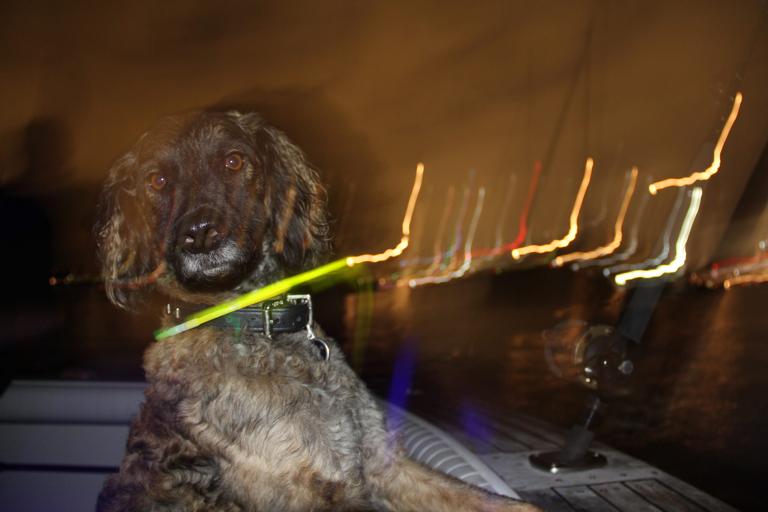 Skipper