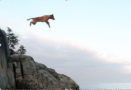 TannerJumps TannerJumps