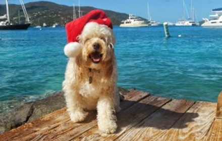 xmas3
