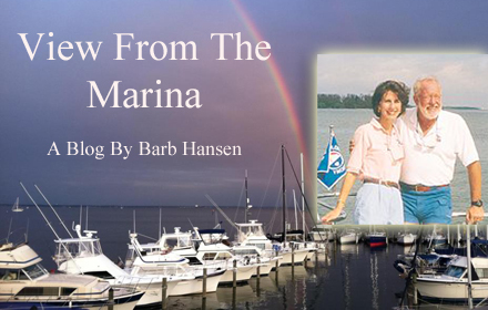 BarbCover