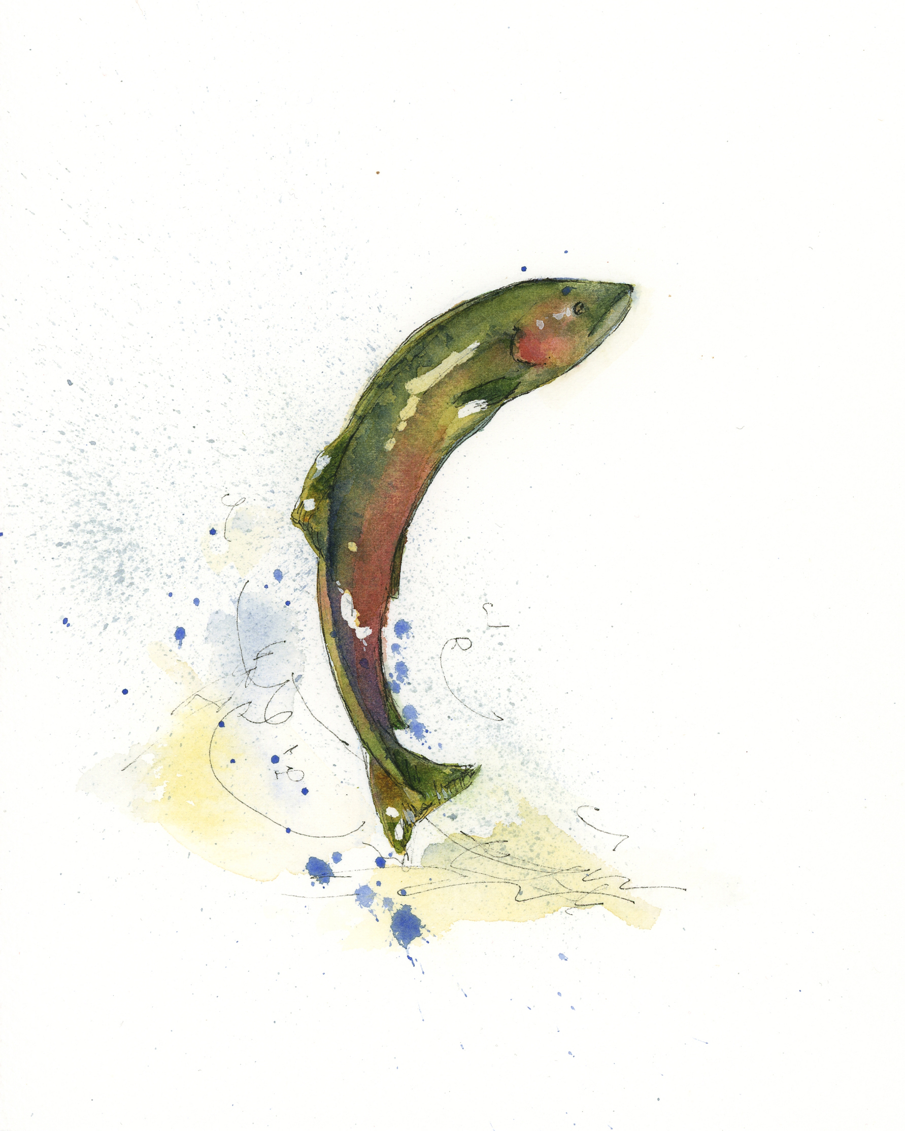 Jump Salmon