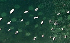 mooring_field_in_eel_grass (1) mooring_field_in_eel_grass (1)