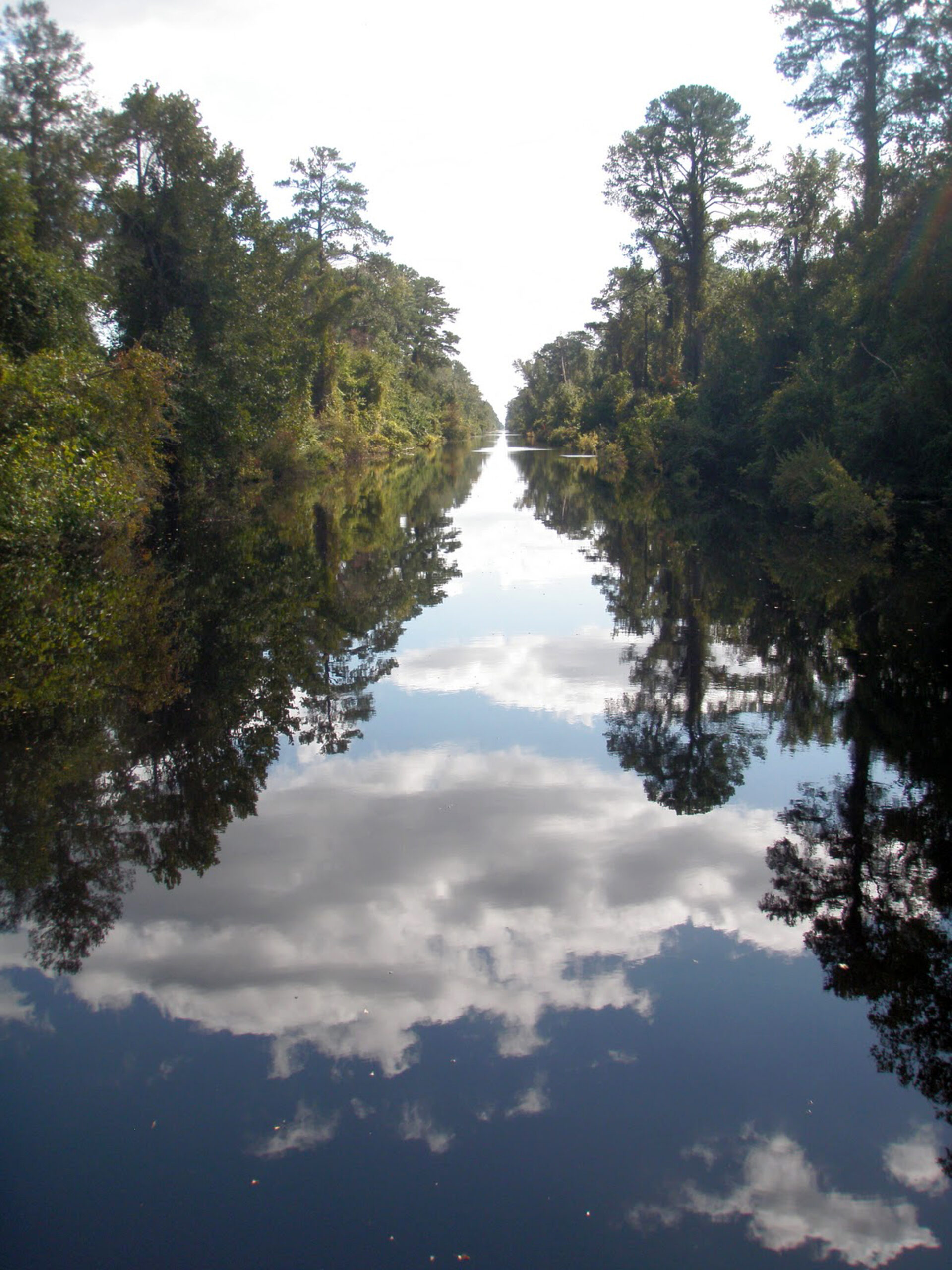 dismal swamp canal dismal swamp canal