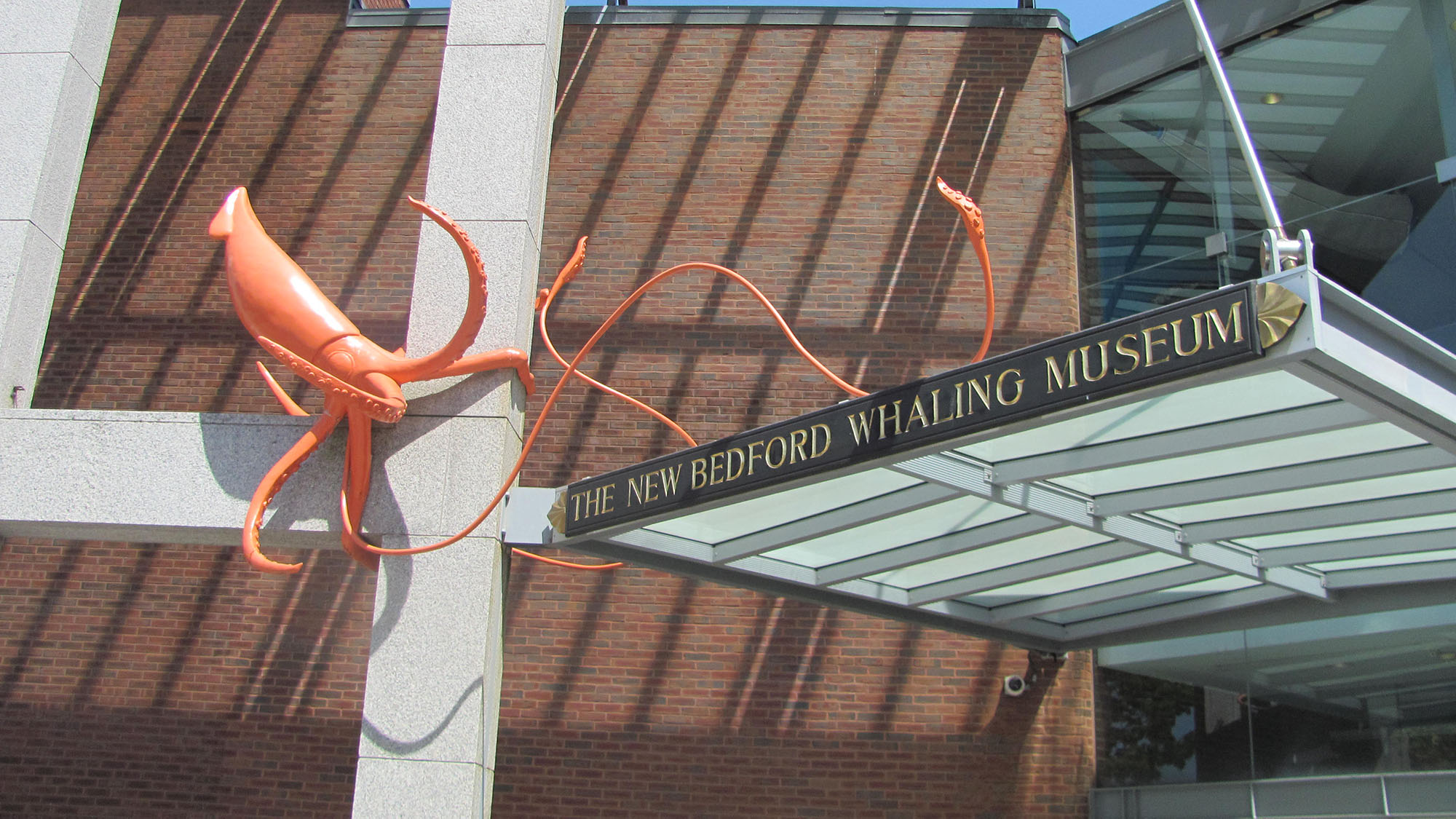 orange squid 1 orange squid 1