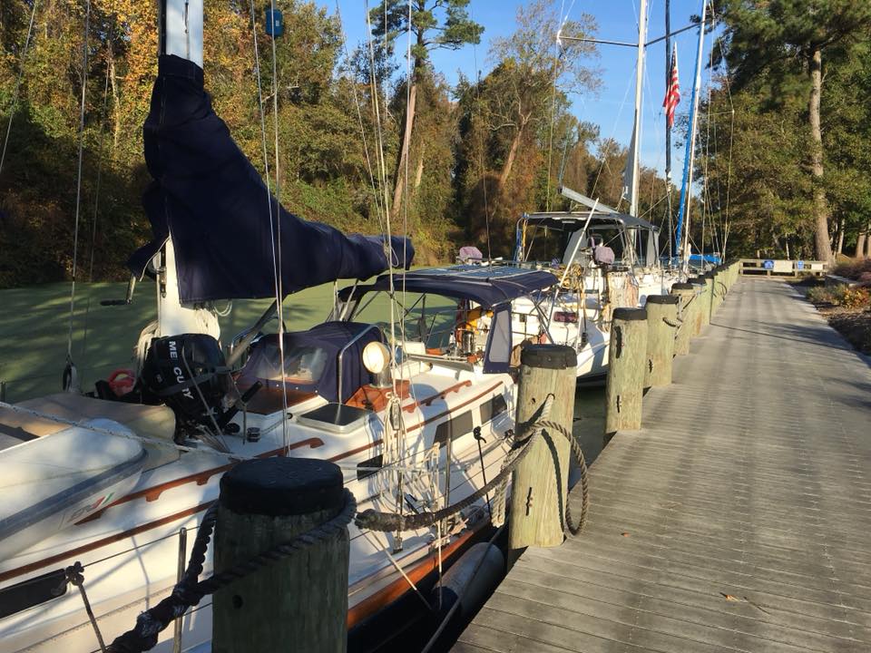 DismalSwamp2 DismalSwamp2
