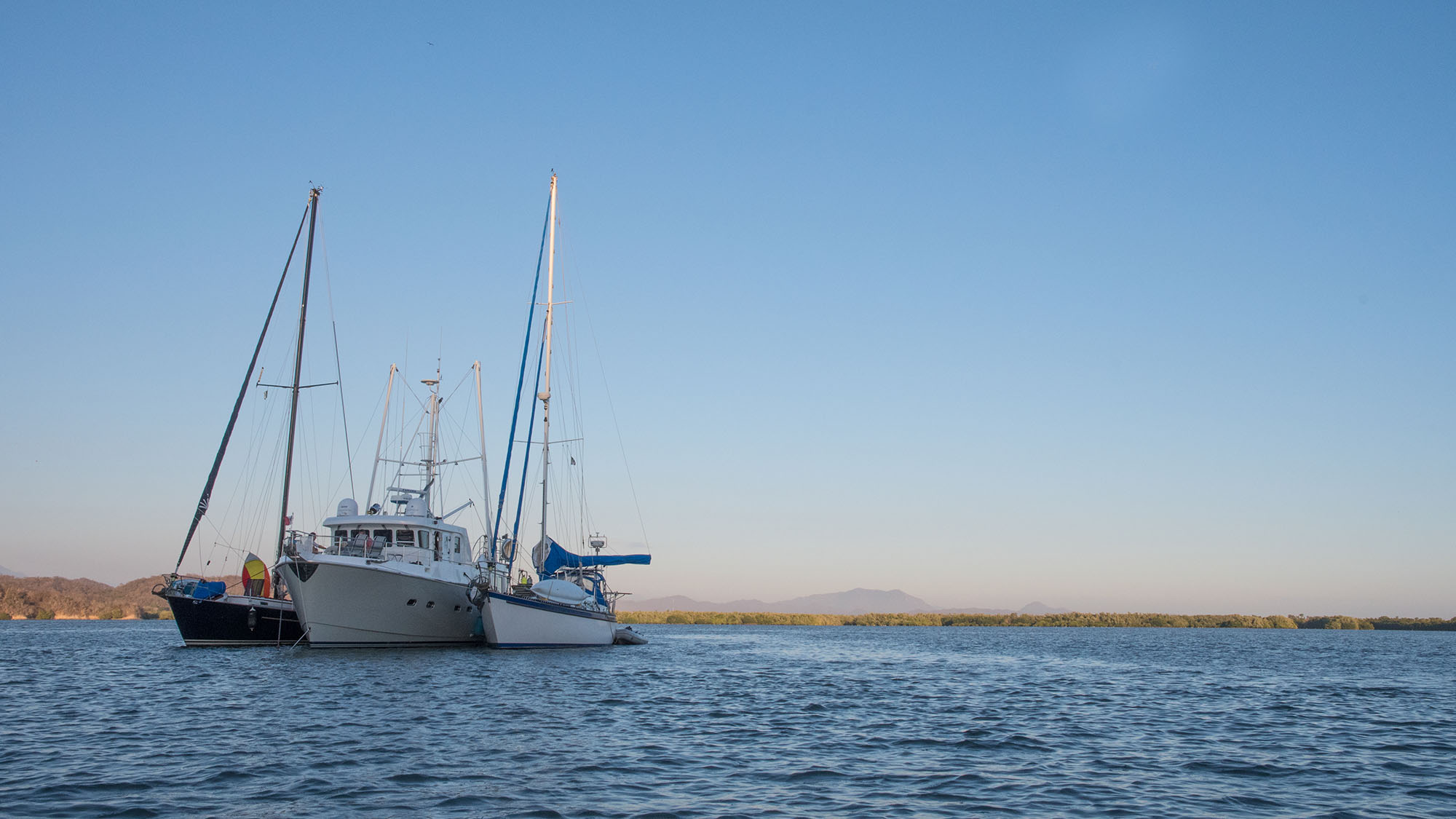 DSC_0502 DSC_0502