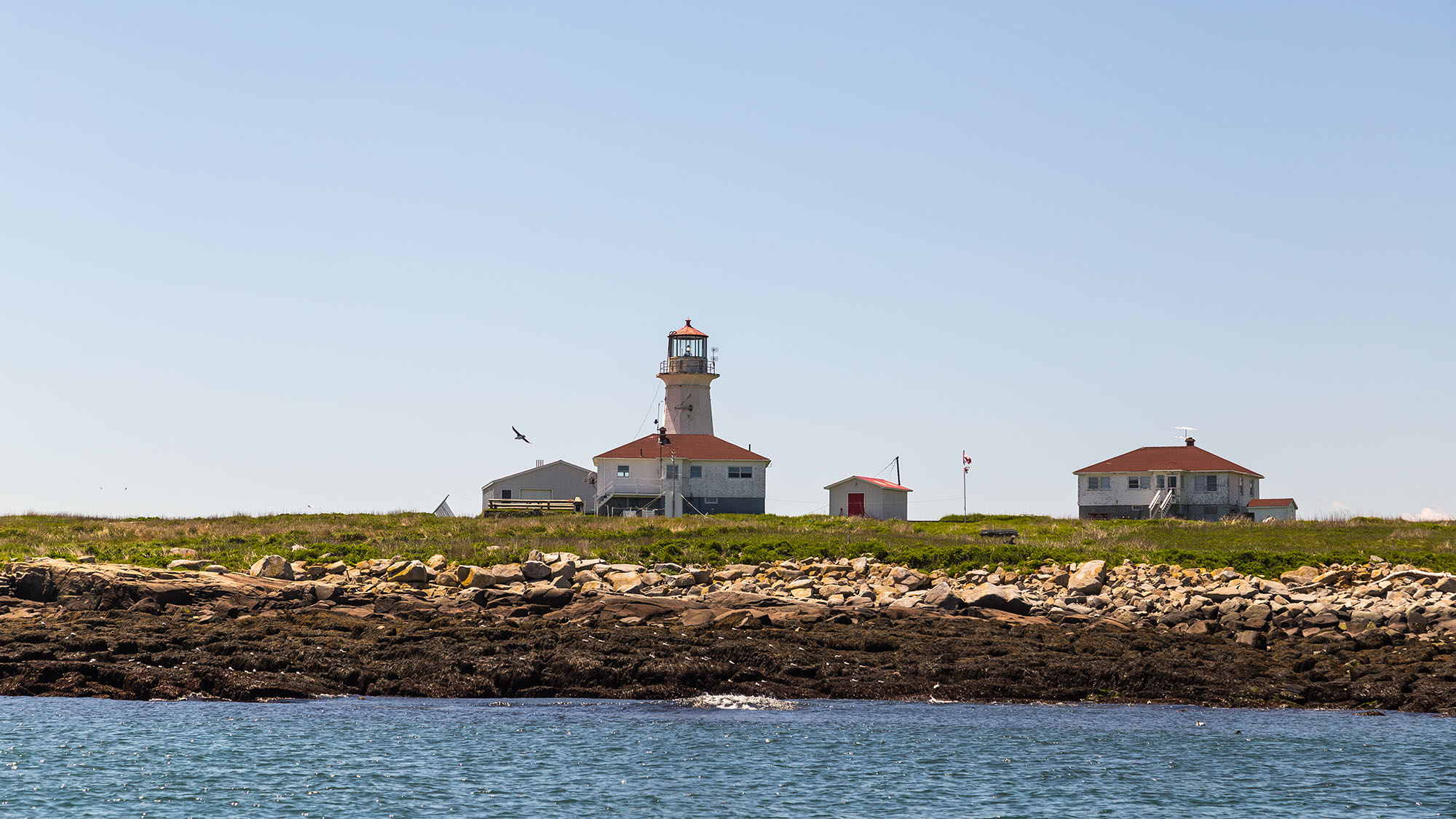 machias Seal Island Lighthouse machias Seal Island Lighthouse