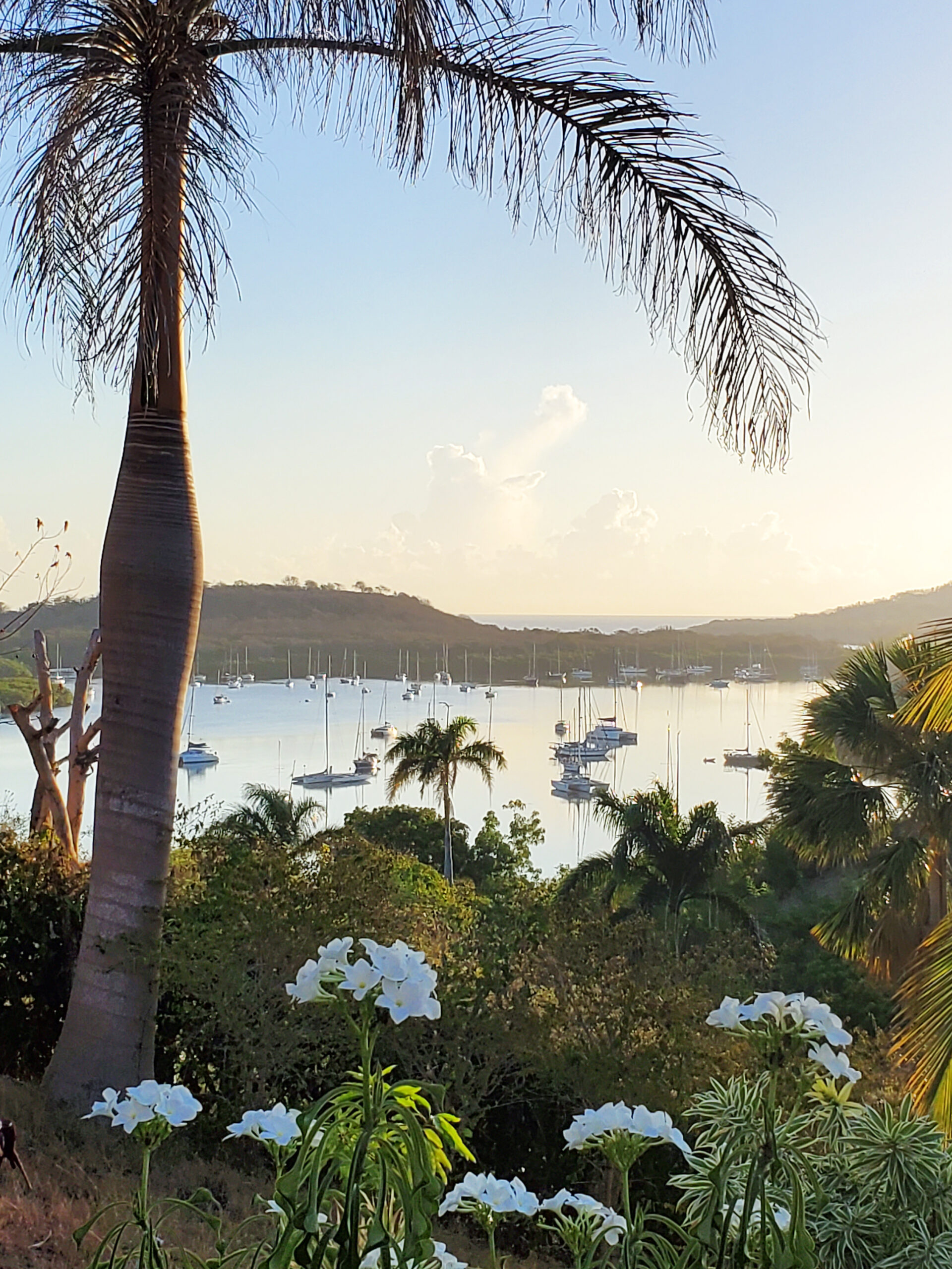 Luperon Bay 2