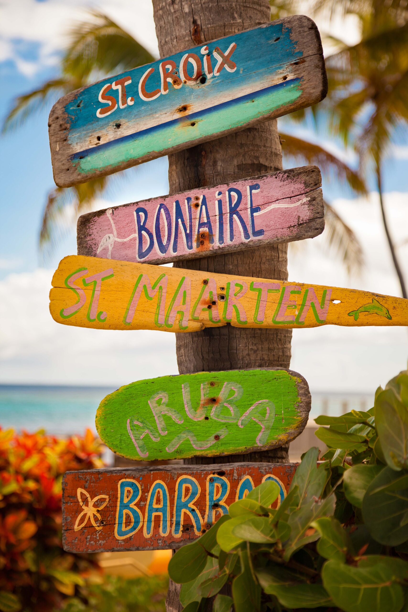 Caribe Signs Caribe Signs